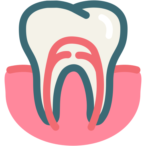 Dental Care - NADL Healthcare